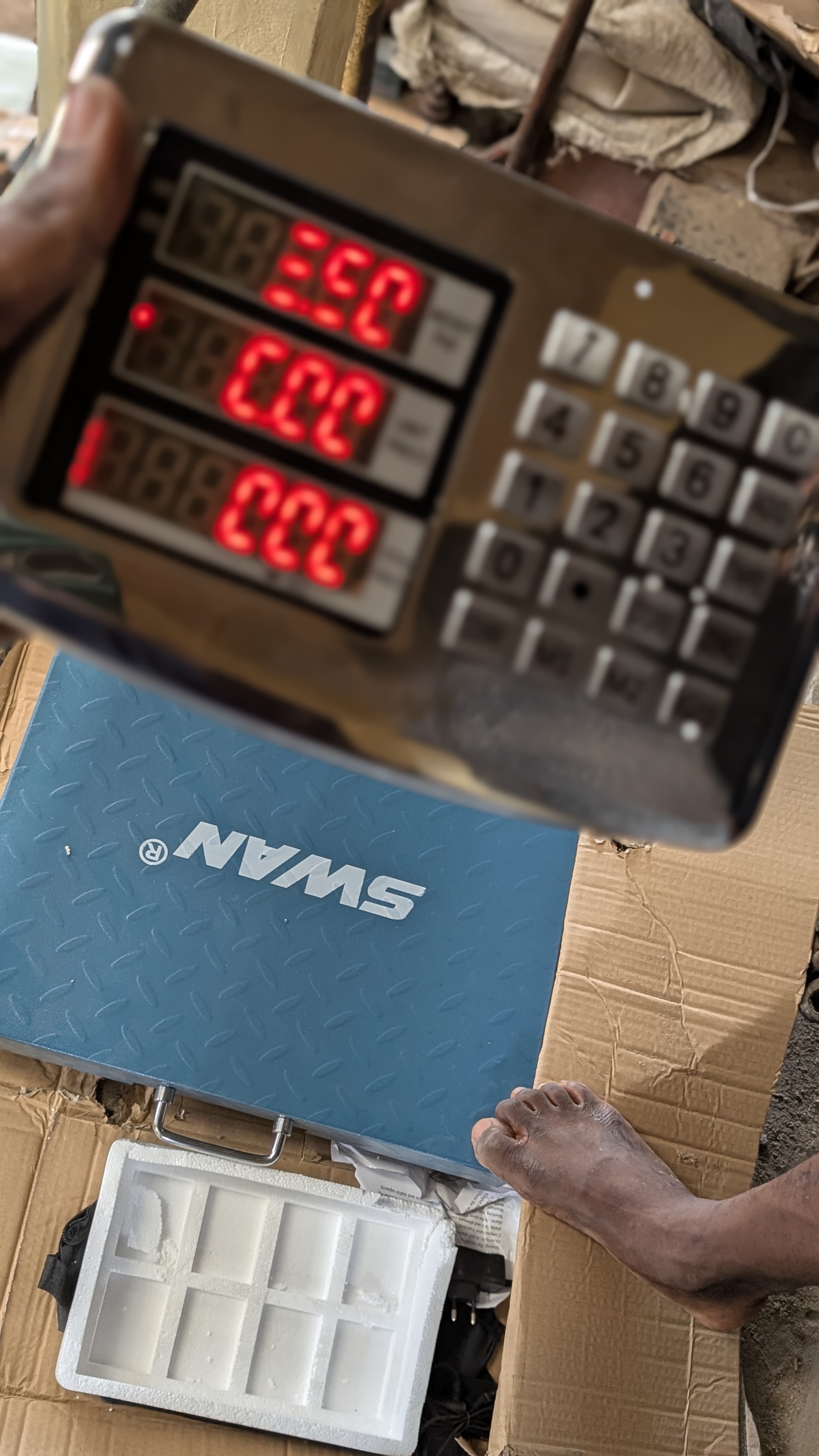 Electronic scale photo 2